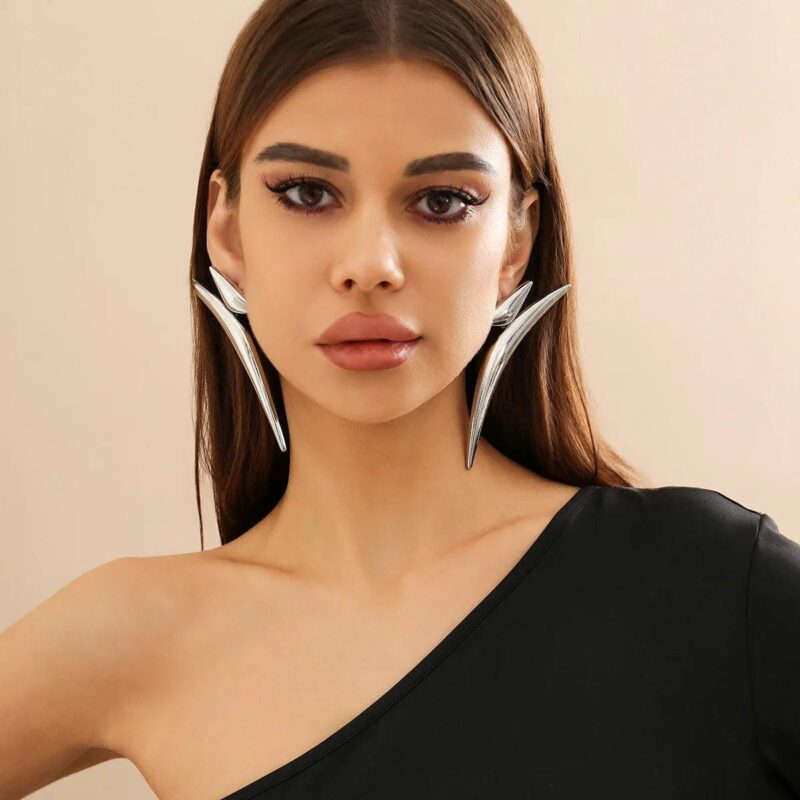 Big Fancy Silver Plated Fashion Earrings